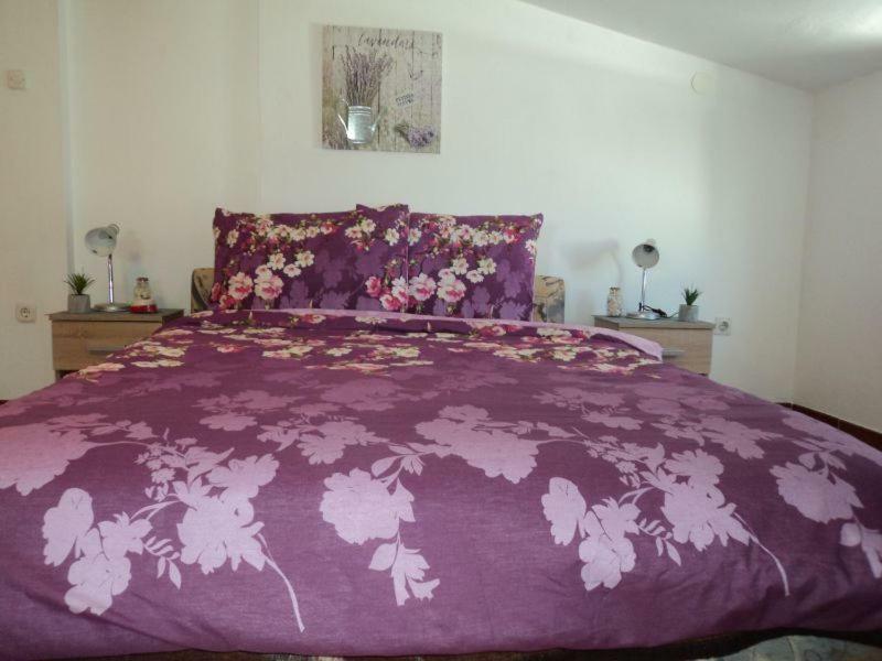Studio Apartments Ana Rovinj Extérieur photo